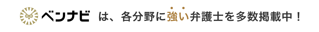 ベンナビは、各分野に強い弁護士を多数掲載中！